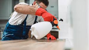 Professional Pest Control in La Caada Flintridge, CA